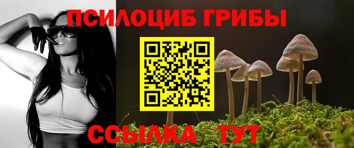 Грозный  Псилоцибиновые грибы Magic Shrooms  Вход с VPN 