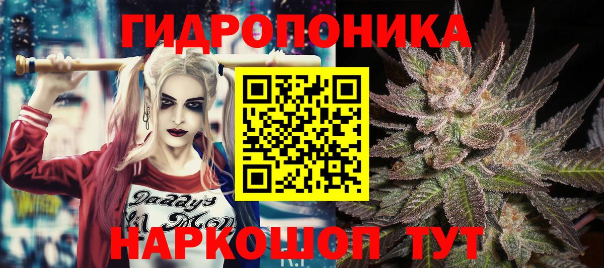 Каннабис планчик Грозный